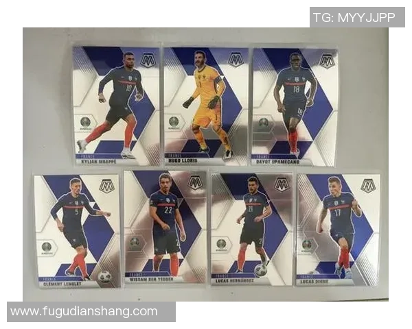 法国足球历史顶尖球星排行榜及其辉煌成就解析